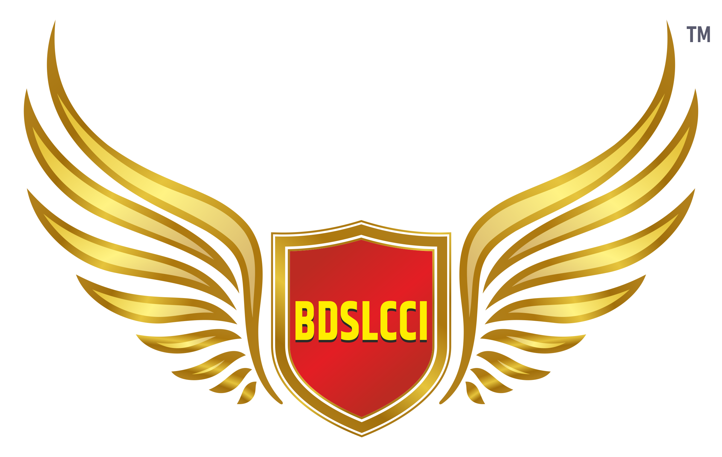 BDSLCCI Logo